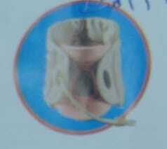 Neck Traction Device NTD 500