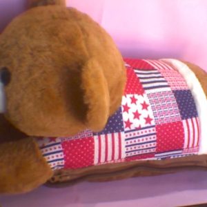 Electric Shaped Hot Water Bag