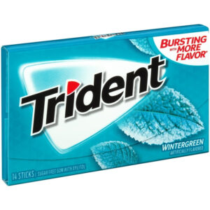 Trident Wintergreen S/F Stick Gum 14 Pcs