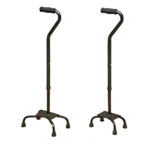 Quad Canes Crutch