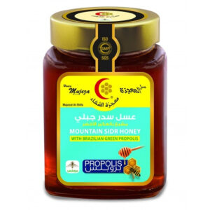Mujezat Al-Shifa Mountain Sidr Honey 600g^^1N..AC 30/11/2025