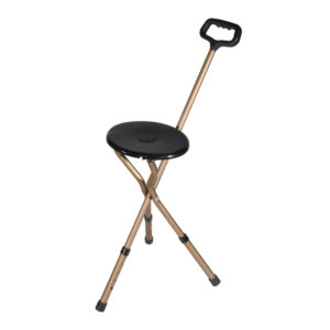 Cane With Seat
